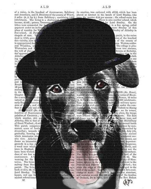 Labrador Black in Bowler Hat