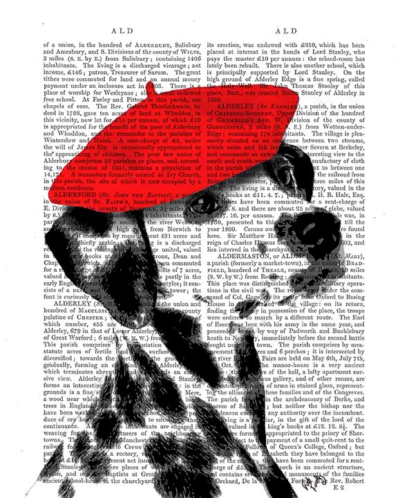 5964 Dalmatian With Red Fascinator Poster Print- Funky Fab (18 X Dalmatian With Red Fascinator Poster Print - Funky Fab (18 X  main image 3
