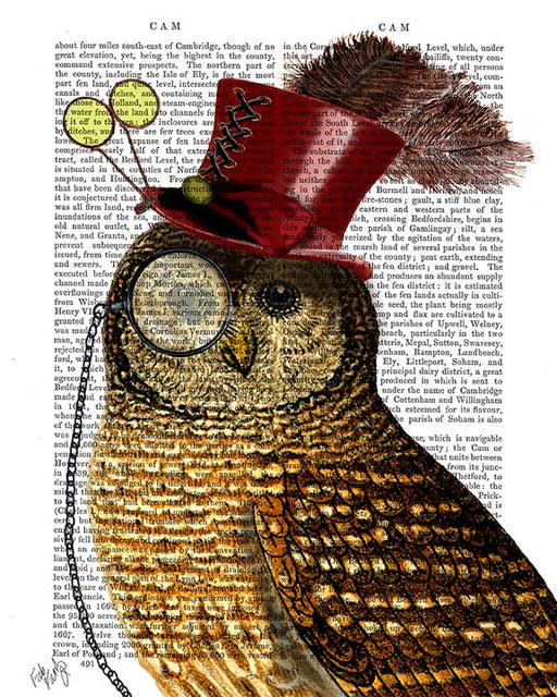 Owl With Top Hat