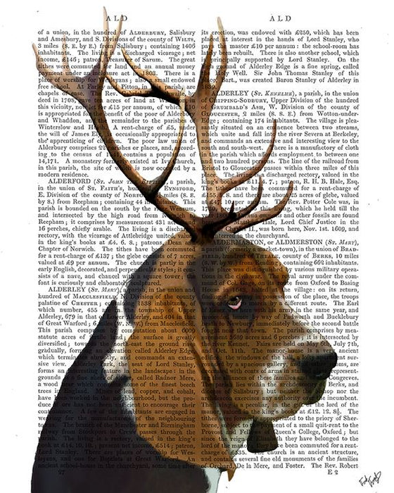 Basset Hound and Antlers