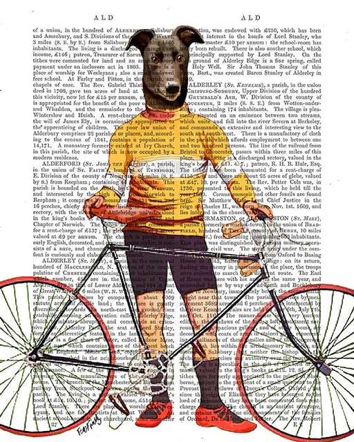 Greyhound Cyclist