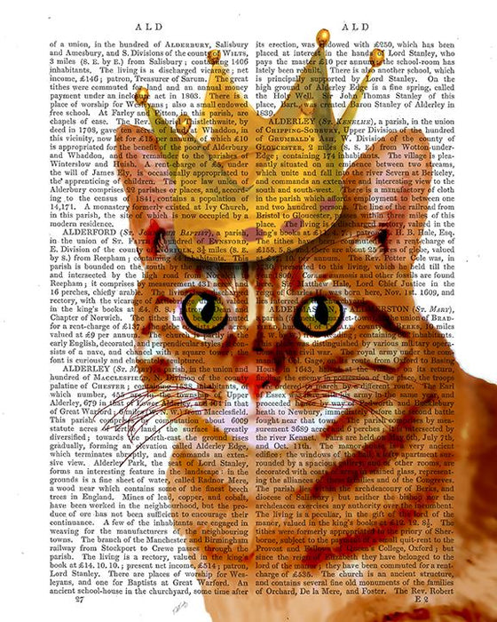 Ginger Cat with Crown