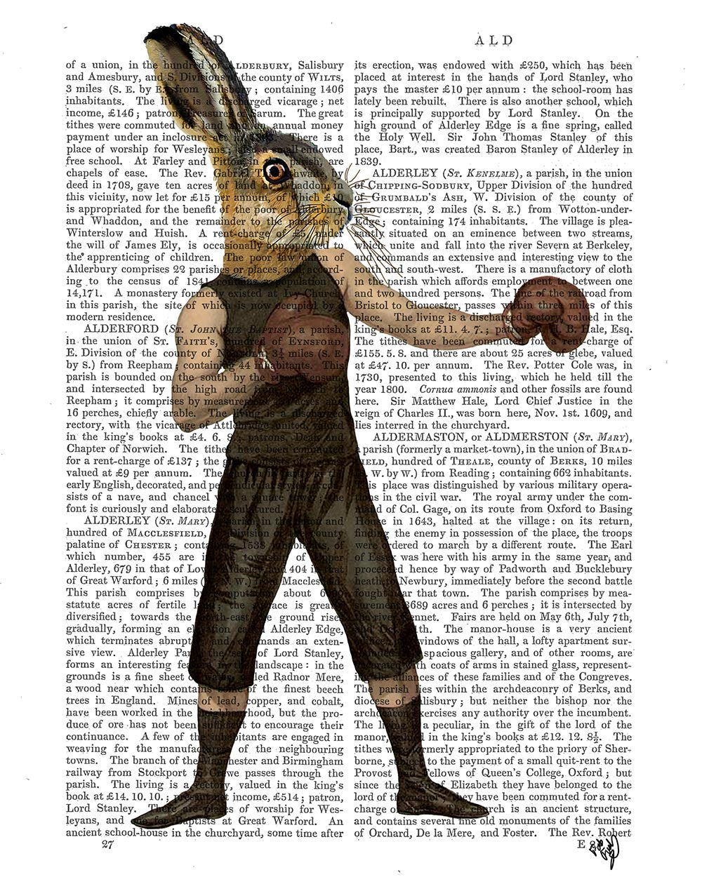 Boxing Hare, Antiquarian Book Prints, Art Print, Wall Art — FabFunky