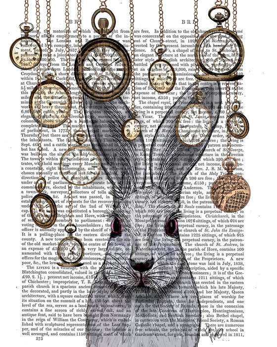 Rabbit Time