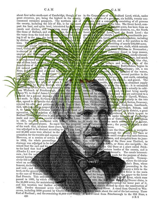spider plant sketch Spider Plant Head, Antiquarian Book Prints, Art Print, Wall Art — FabFunky