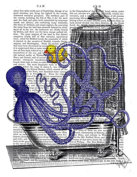 Octopus in Bath