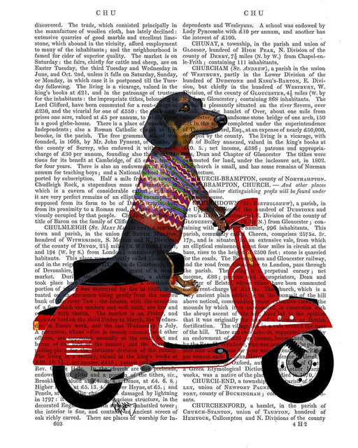 Dachshund on a Moped