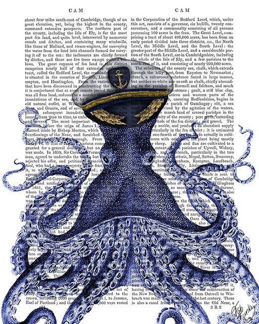 Captain Octopus