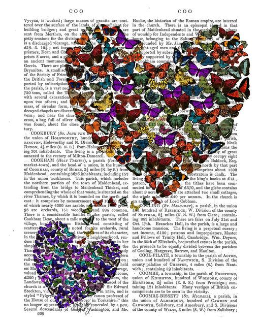 Two Butterfly Hearts