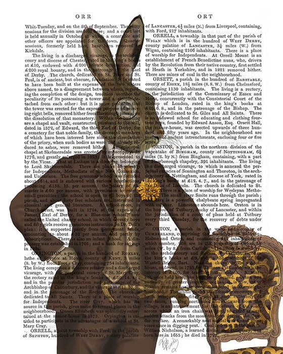 Dapper Rabbit Lithograph Dapper Hare, Antiquarian Book Prints, Art Print, Wall Art — FabFunky