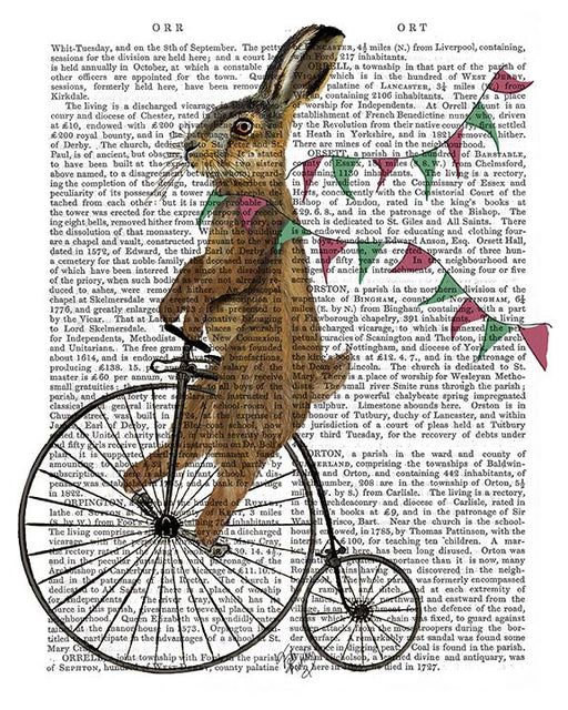 Rabbit On Penny Farthing
