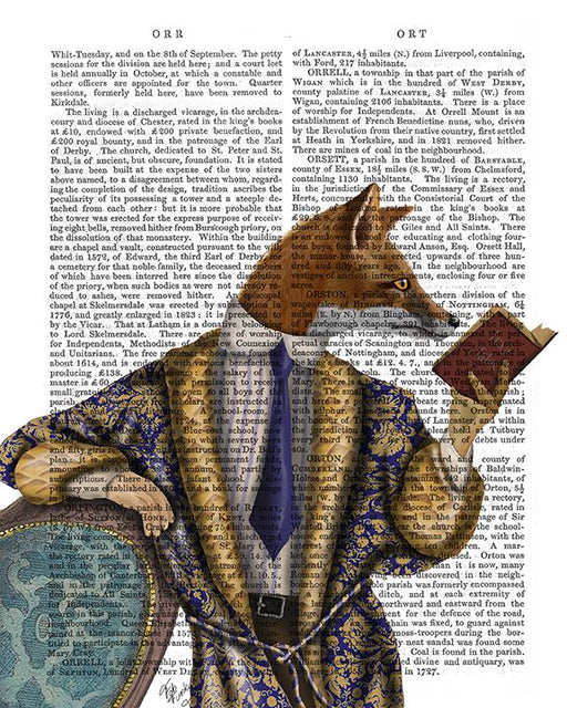 Book Reader Fox
