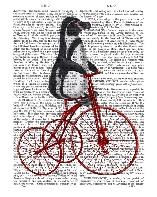 Penguin on Bicycle