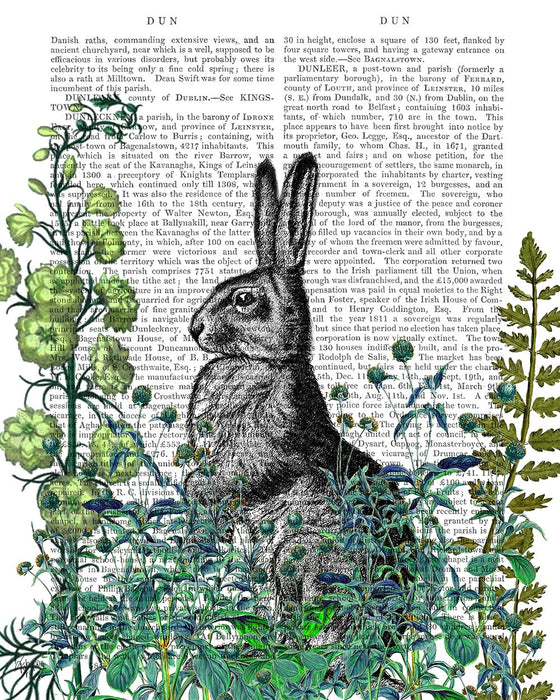 Rabbit in The Garden