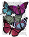 Big Bold Butterflies 3