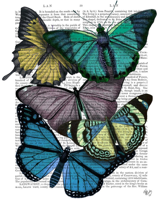 Big Bold Butterflies 4