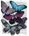 Big Bold Butterflies 5