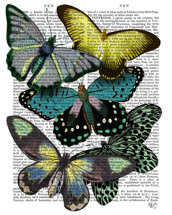 Colorful Butterfly Banke Se Butterfly Monarch Butterfly Banke This