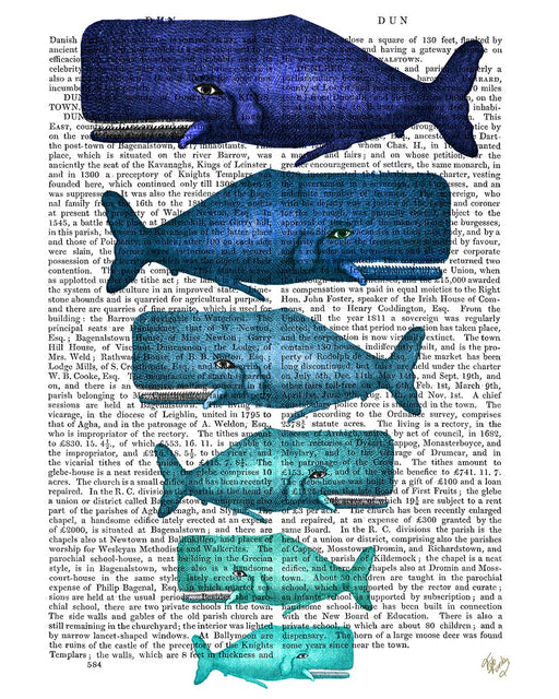 Blue Whale Family