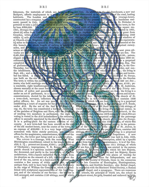 Blue Jellyfish 1