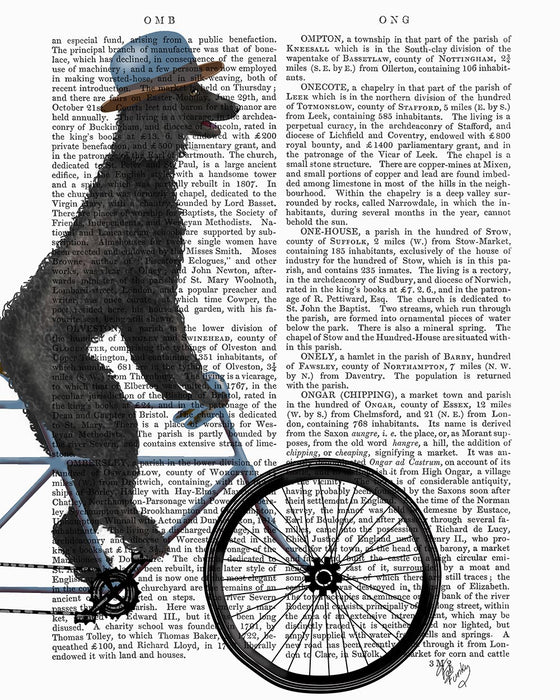 Poodle on Bicycle