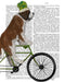 St Bernard on Bicycle
