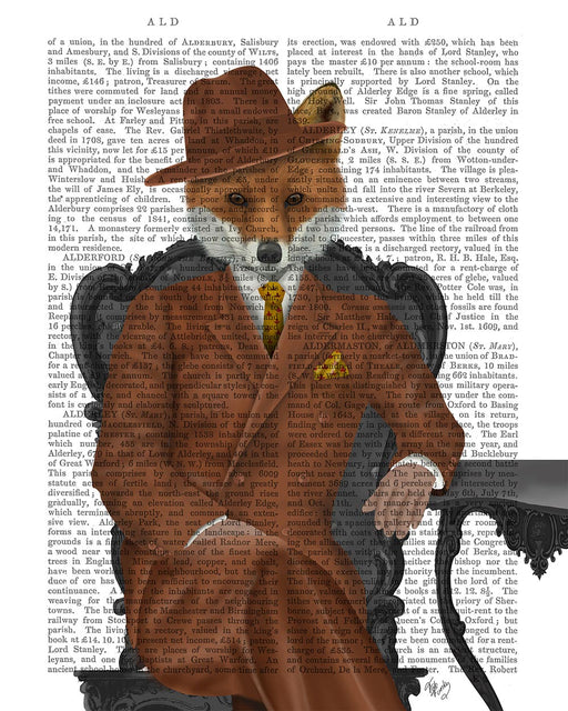 Fox 1930s Gentleman