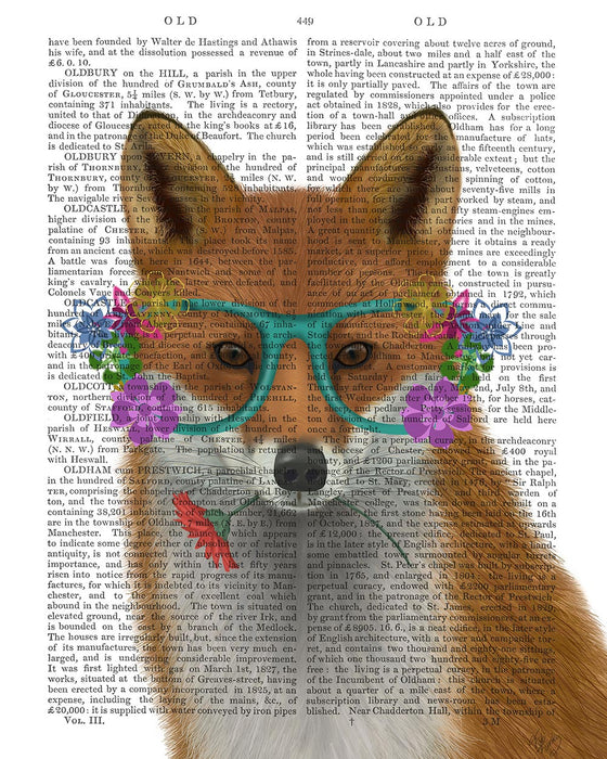 Fox and Flower Glasses