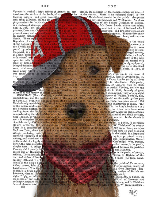 Airedale and Baseball Cap