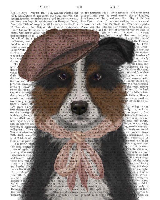 Border Collie Hat and Pink Scarf