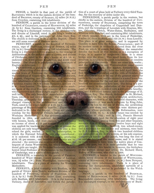 Yellow Labrador and Tennis Balls