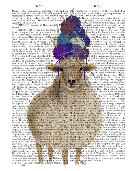 Sheep with Wool Hat