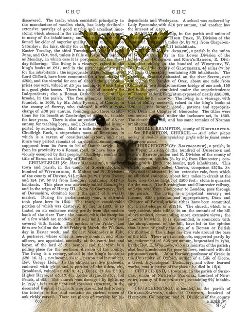 Llama Queen