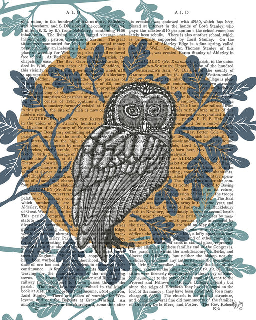 Country Lane Owl in Moon