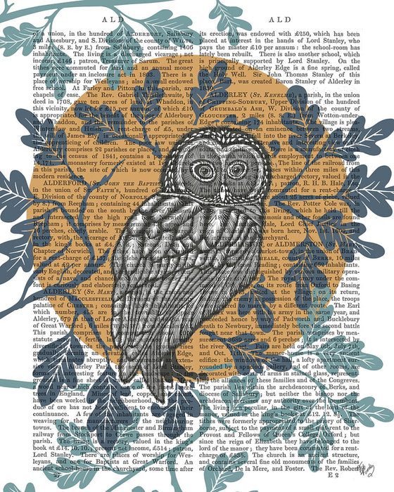 Country Lane Owl in Moon