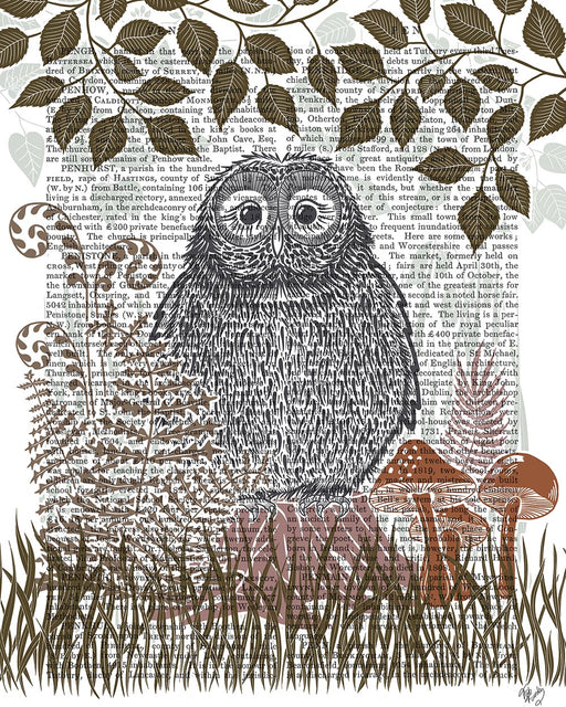Country Lane Owl 2