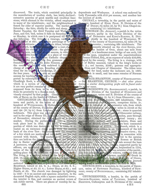 Cavapoo Brown on Penny Farthing