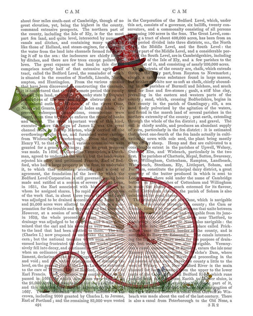 Golden Retriever on Penny Farthing