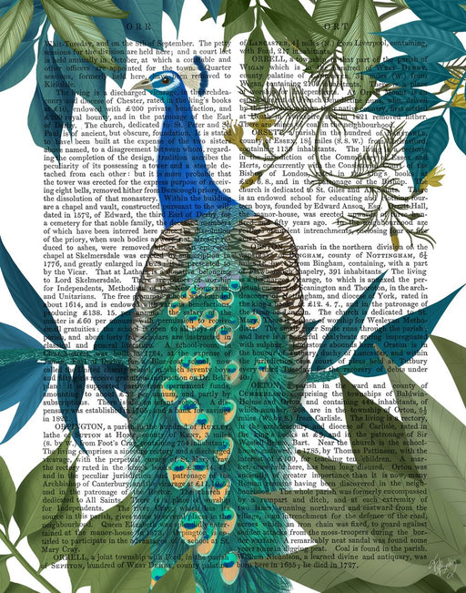 Peacock On Branch