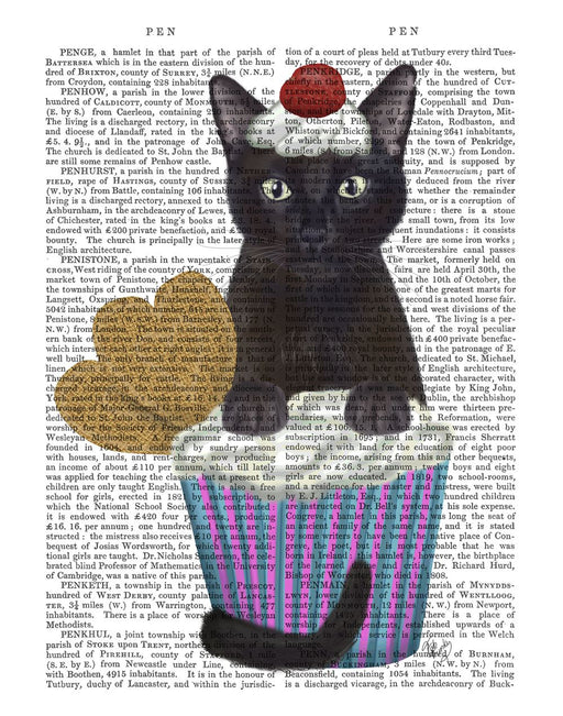 Black Cat Cupcake