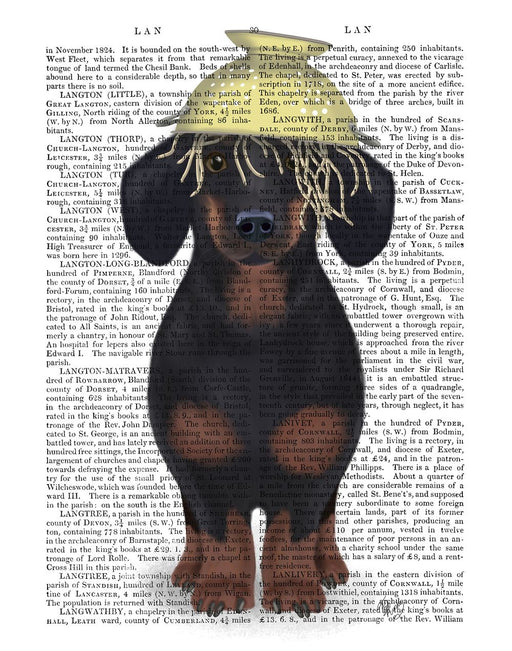 Dachshund Colander