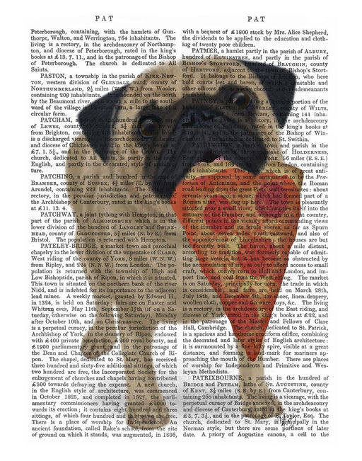 Pug Pizza 2