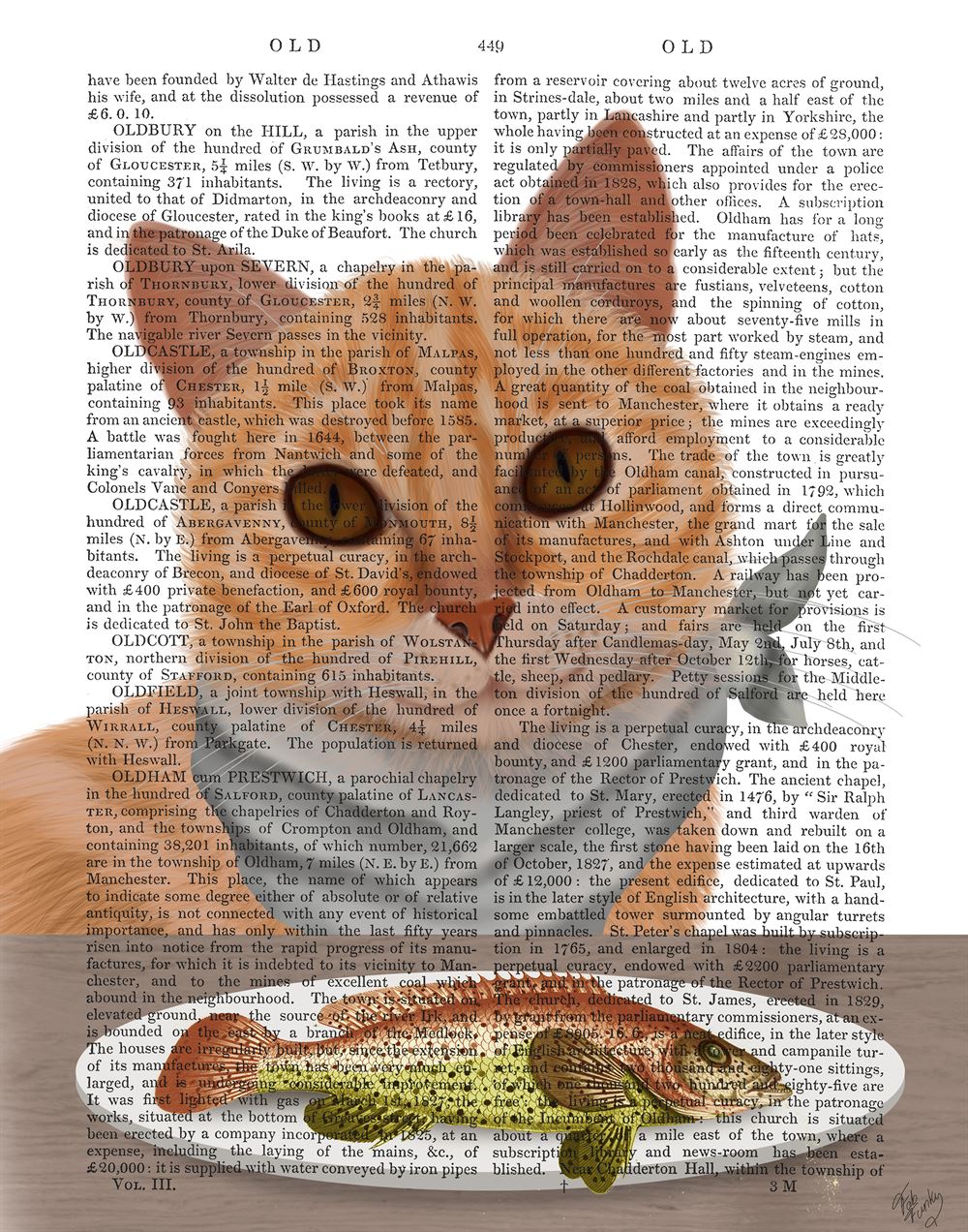 Ginger Cat Fish Dinner, Antiquarian Book Prints, Art Print, Wall Art
