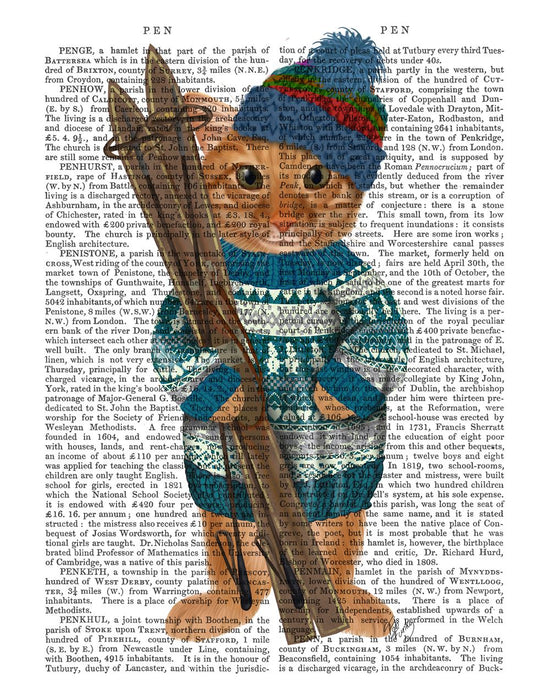 Ginger Ski Cat, Antiquarian Book Prints, Art Print, Wall Art