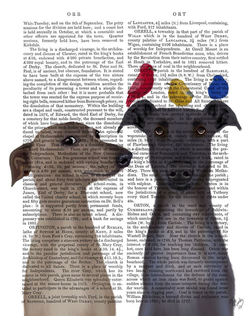 Greyhounds and Birds