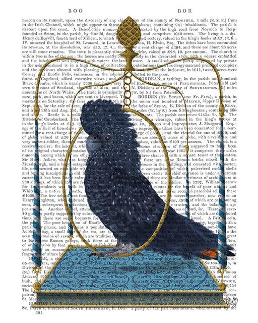 FabFunky Black Cockatoo on Swing