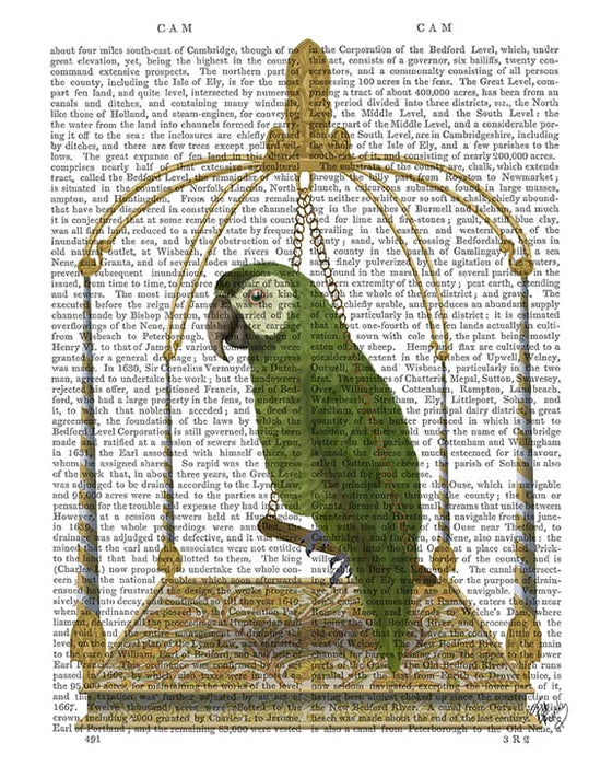 FabFunky Green Parrot on Swing