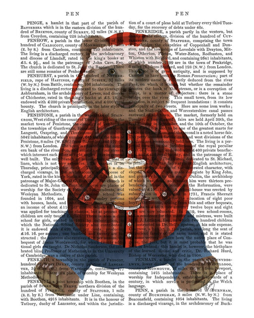 FabFunky Lumberjack Bear Latte