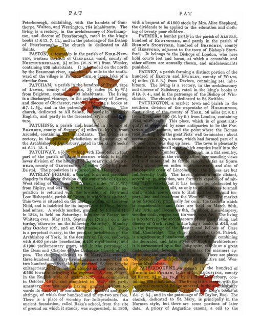 FabFunky Raccoon Catching Leaves