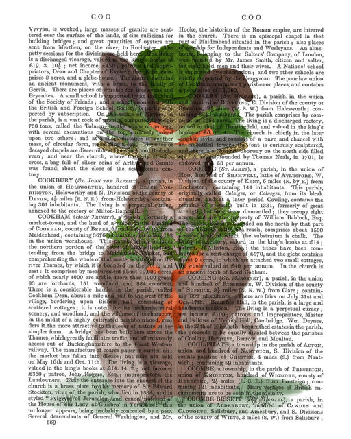 FabFunky Rabbit Carrot Hat